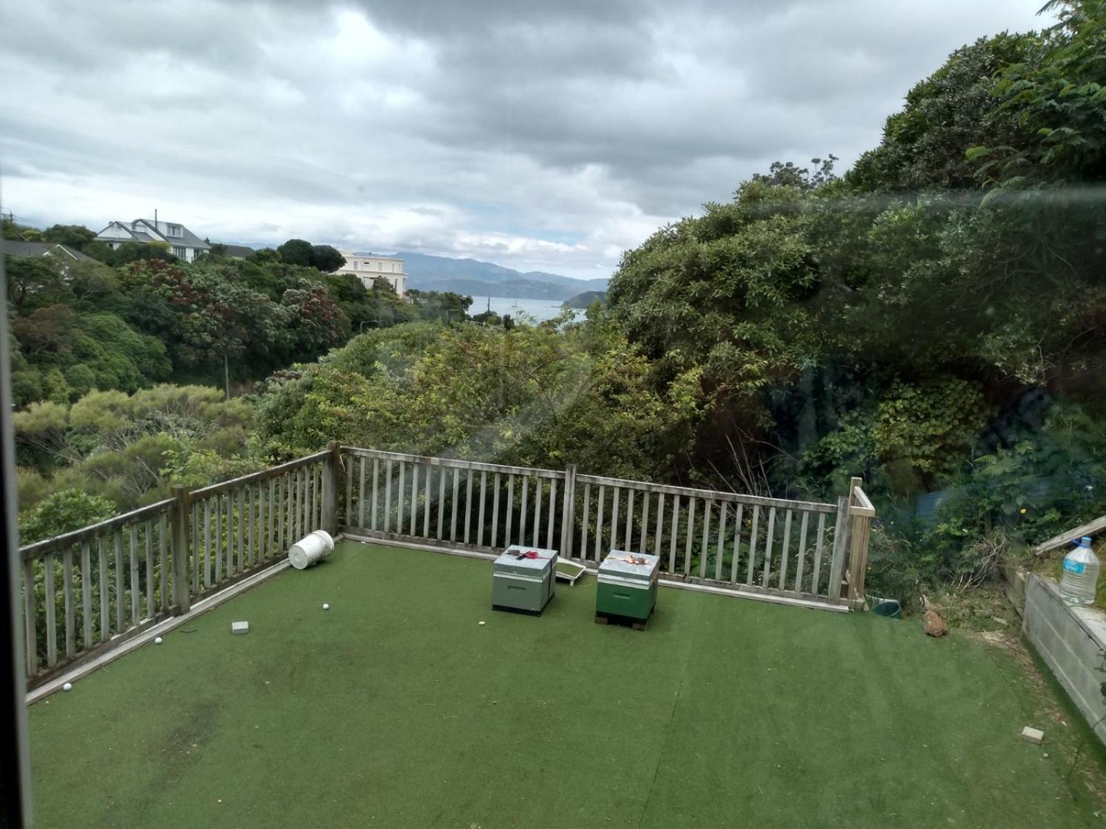 Quiet Location With View And Public Transport Apartment เวลลิงตัน ภายนอก รูปภาพ